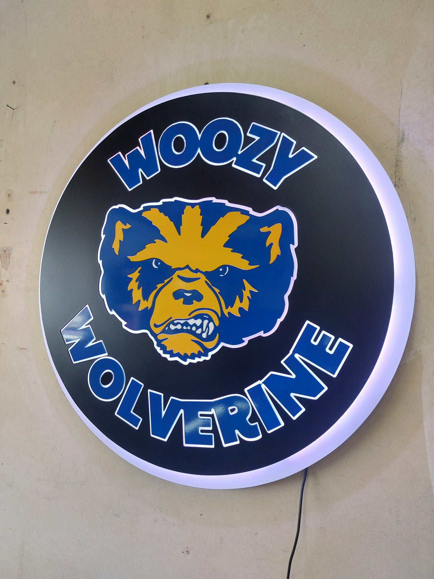 Metal and Acrylic Backlit LED Signs | Favorite Team sign - Firebolt Custom